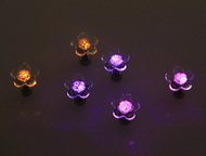 :  (LED) ,   : 
 : LED , . 
  :  
  :  
 