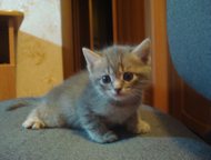          ,  1 ,   ,   ,    ,  -    