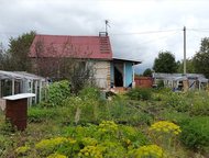 Челябинск: Продам сад в СНТ Градостроитель рядом с Полетаево Продам сад в CНТ Градостроитель около полетаево в экологически чистом месте, товарищество располож