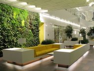 :   Ggreen Art  , ,  ,   , , , , 