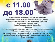   24  2015,       !     ! 
    ,  -  