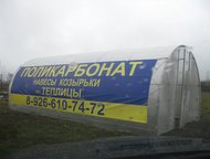 :           :  ( 20*20*2  ), , , , , 