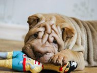 :     ,  ,    - - -   !      , 