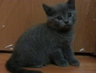 :         ! )        -,     ,   ( 
