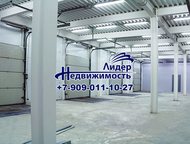  , 5002, , , , , 30        ,  5002  ,  -  