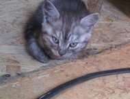  ,      ! ,   (12. 07. 15),   ,  ,    ,  -    