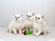         2, 5-5  :  ,  ,    ,  -    