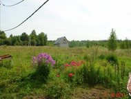 :    20  250      20   ,  , 250       (10