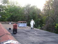  21 .   , ,,         . 
 ,  -  