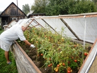 Комсомольск-На-Амуре: Продам дачу Амурские Зори приватизирована есть кадастровый паспорт 12 соток Дача ухоженная с заездом для авто. Дом с небольшой печкой, хорошая баня, к