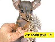    -      -!    !      !     6500 .,  -  ,  