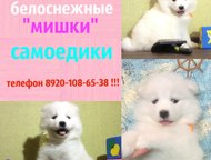          ! 
   ! 
  1, 5 . 
 !   ,  -  ,  