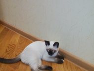       3 . , , .     ,     (  ).,  -    