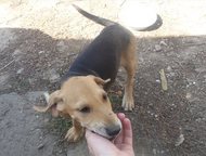    2         89673095421  5000 ,  -  ,  