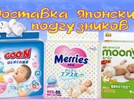 ������: ���������� �� ������ � ���������, ���������, �������� � ��������� �������� ������� ���������� ���������� � ��������� � ��������, �����, ��������, ����