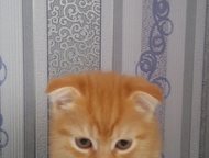 :   5   . 1, 5,      . , ,    !  ! 
    