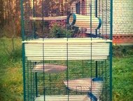          .     : Ferplast Furet Tower Cage.  : . : 80*75*161 ,  -   - 