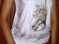 :     -  , D&G     -  , D&G
 
 : 1785
 
 : ,   