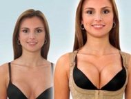 :   Chic shaper    (Chic Shaper) -    ,     , 