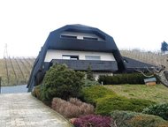 :    ,      , 1993  ,   292 ²,   ,  