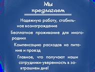 :  ,     ( )       ,    