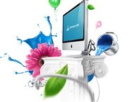      SEO      SEO .    13 .     ,  -  