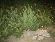 ����� ����� ���������� ����/����� ����� ����� ���������� ����/����� � ������. ��������� �� 30. 12. 2015., ������ - ������