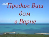     ,       , ,       . ,  ,  -   ( )
