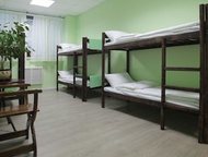 :     Hostel Forest         ,     