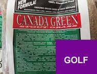 :       canada green premium ()! 
 
    fast start -     = fast st