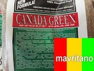 :       canada green premium ()! 
 
    fast start -     = fast st