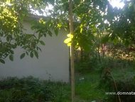 :   .         ,      . 