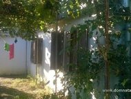   .         ,      . ,  -   