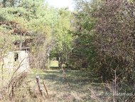    .         , . : ,    ,  -   