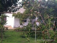 :   .         ,     200 .   . 