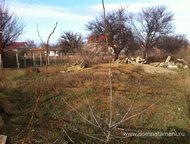   .         ,       . ,  -   