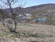   .        ,   ׸  17 .   . ,  -   