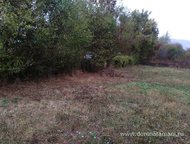 :   .        ,   ׸  5   . 