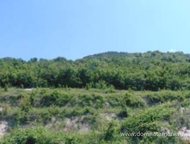 :   .        ,   ׸  2 .  .   . 