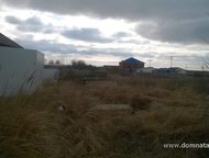 :   .         ,      . 