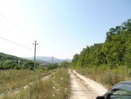 :   .      ,   ׸  2.5 .   . :   .