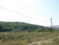 :   .      ,   ׸  2.5 .   . :   .