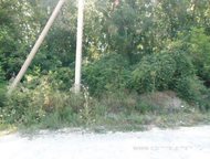 :   .      ,   ׸  2.5 .   . :   .