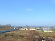   .        ,   ׸    ,  -   