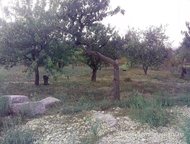 :   .        ,   ׸  4 .    . 