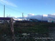   .        ,   ׸  25   . ,  -   