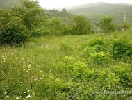   .        ,   ׸    ,  -   