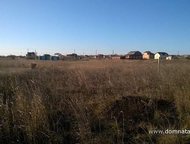 :    .          ,       . 