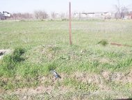   .         ,       . ,  -   