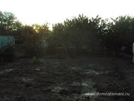 :   .         ,      . 